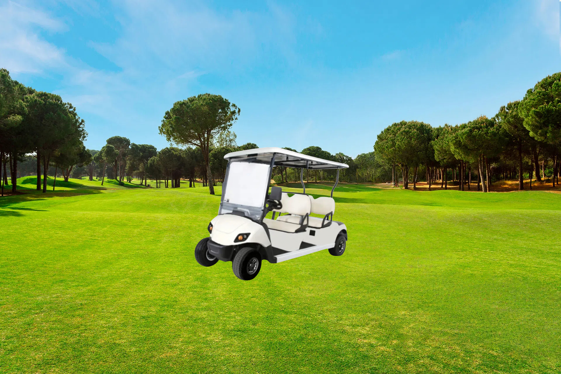 Golf Carts Batteries